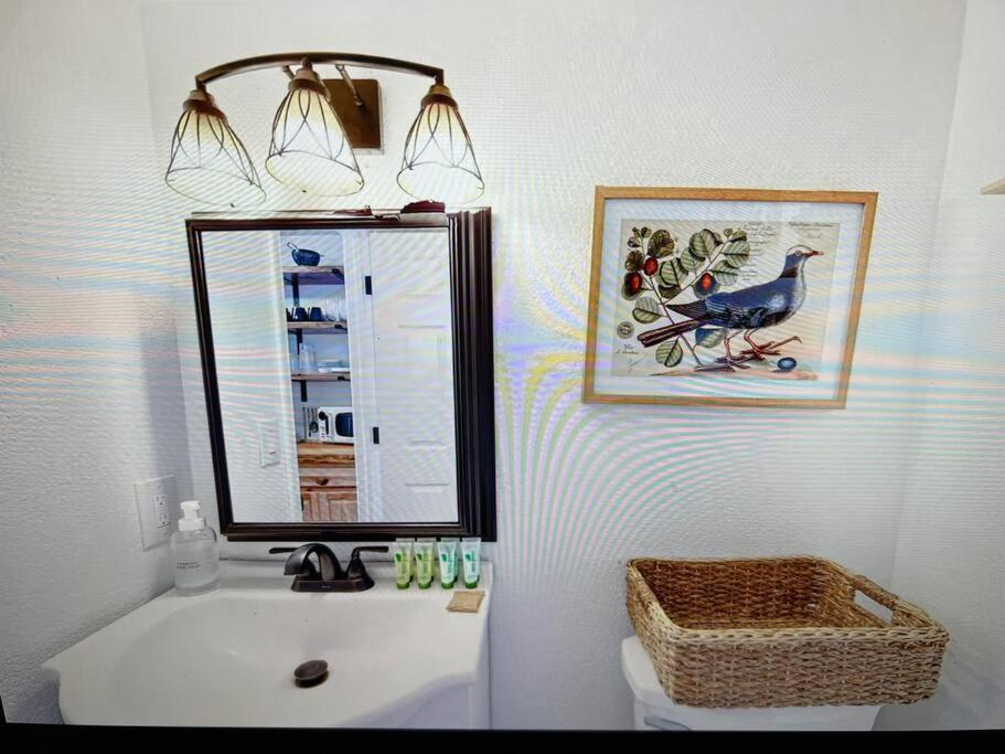 New Modern Boho Apt- Close To Yosemite Oakhurst Extérieur photo